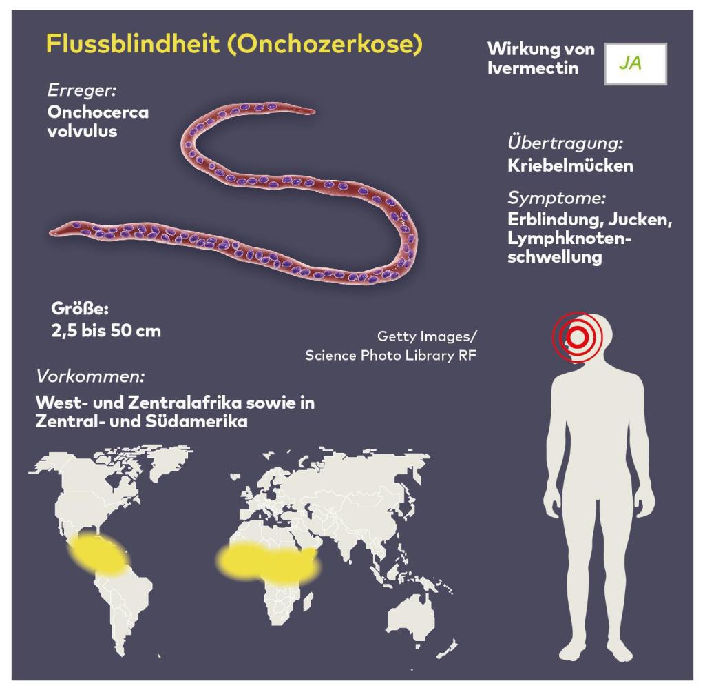 Ivermectin Medikament Kaufen Ivermectin Medikament Kaufen