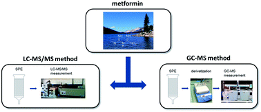 ersatz für metformin 1000 Ersatz Für Metformin 1000