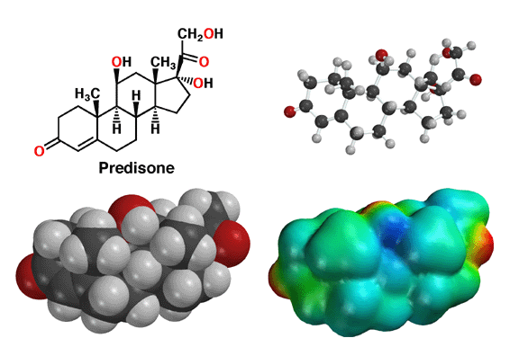 kaufen prednisolone Kaufen prednisolone