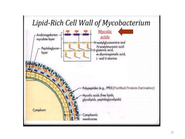 ciprofloxacin 250 kosten ciprofloxacin 250 kosten