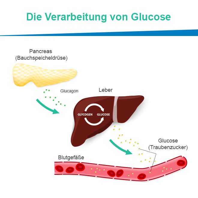Metformin Im Ausland Bestellen Metformin Im Ausland Bestellen