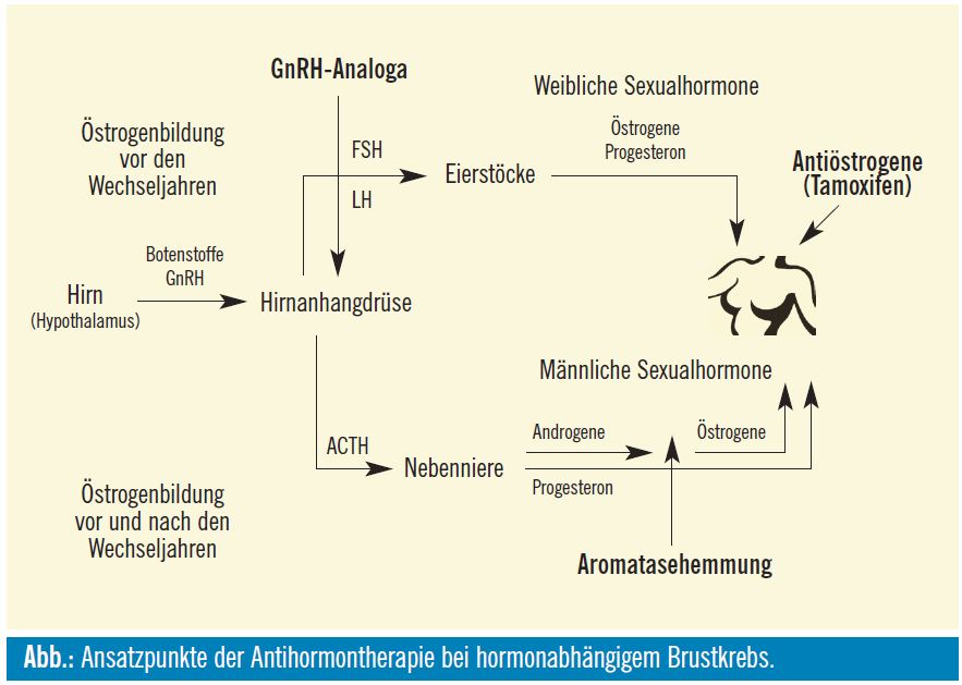 tamoxifen ratiopharm 20 mg preis