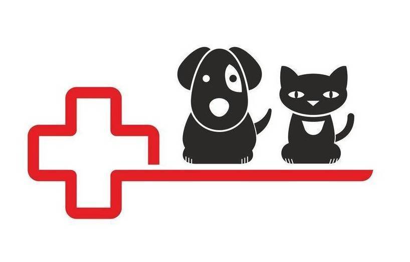 prednisolon 5mg katze kaufen Prednisolon 5mg katze kaufen
