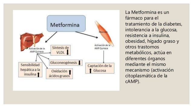 Stromectol 3mg Spc