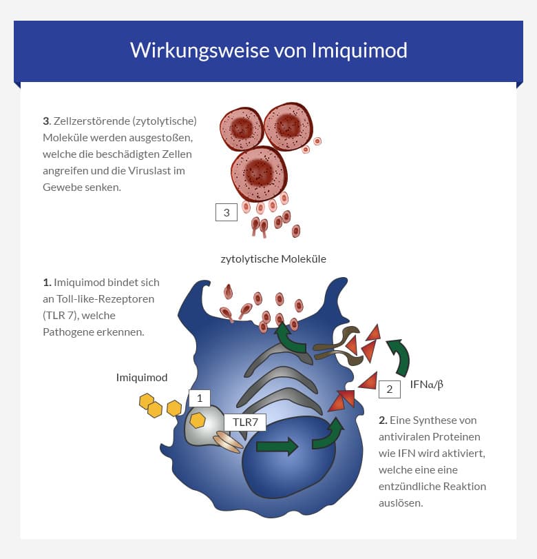 imiquimod bestellung