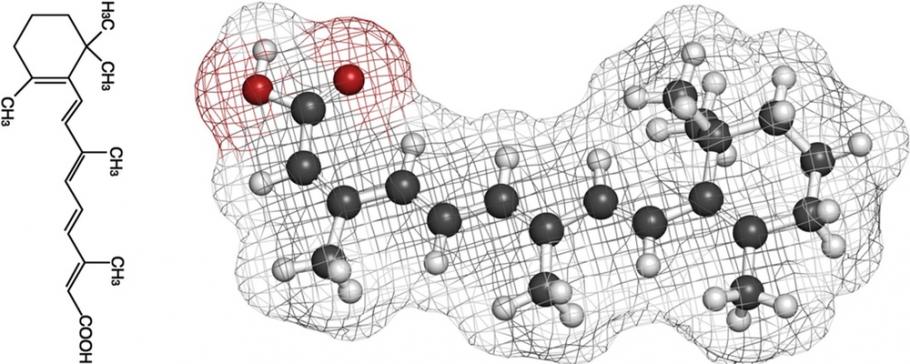 Roaccutan 20mg Roaccutan 20mg