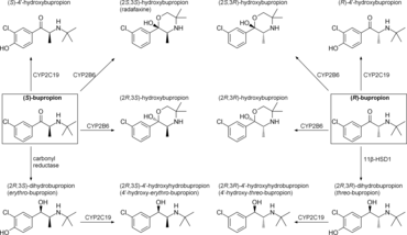 bupron tabletten Bupron Tabletten