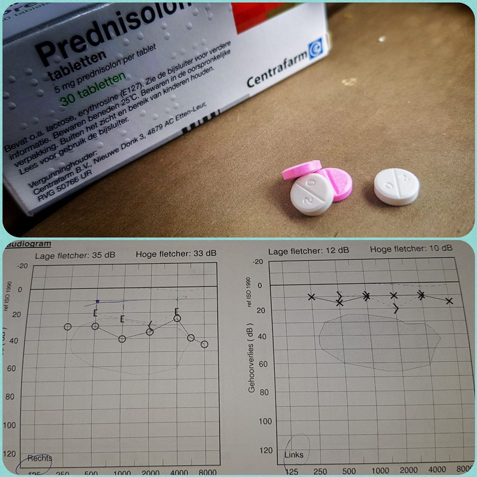 Prednisolon tabletten 250 mg prednisolon tabletten 250 mg