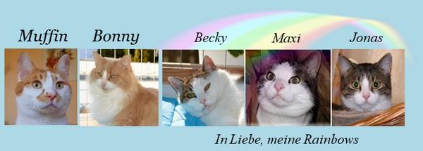 Amoxicillin katze rezeptfrei