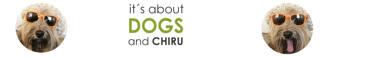 Prednisolon acis 20 mg für hunde prednisolon acis 20 mg für hunde