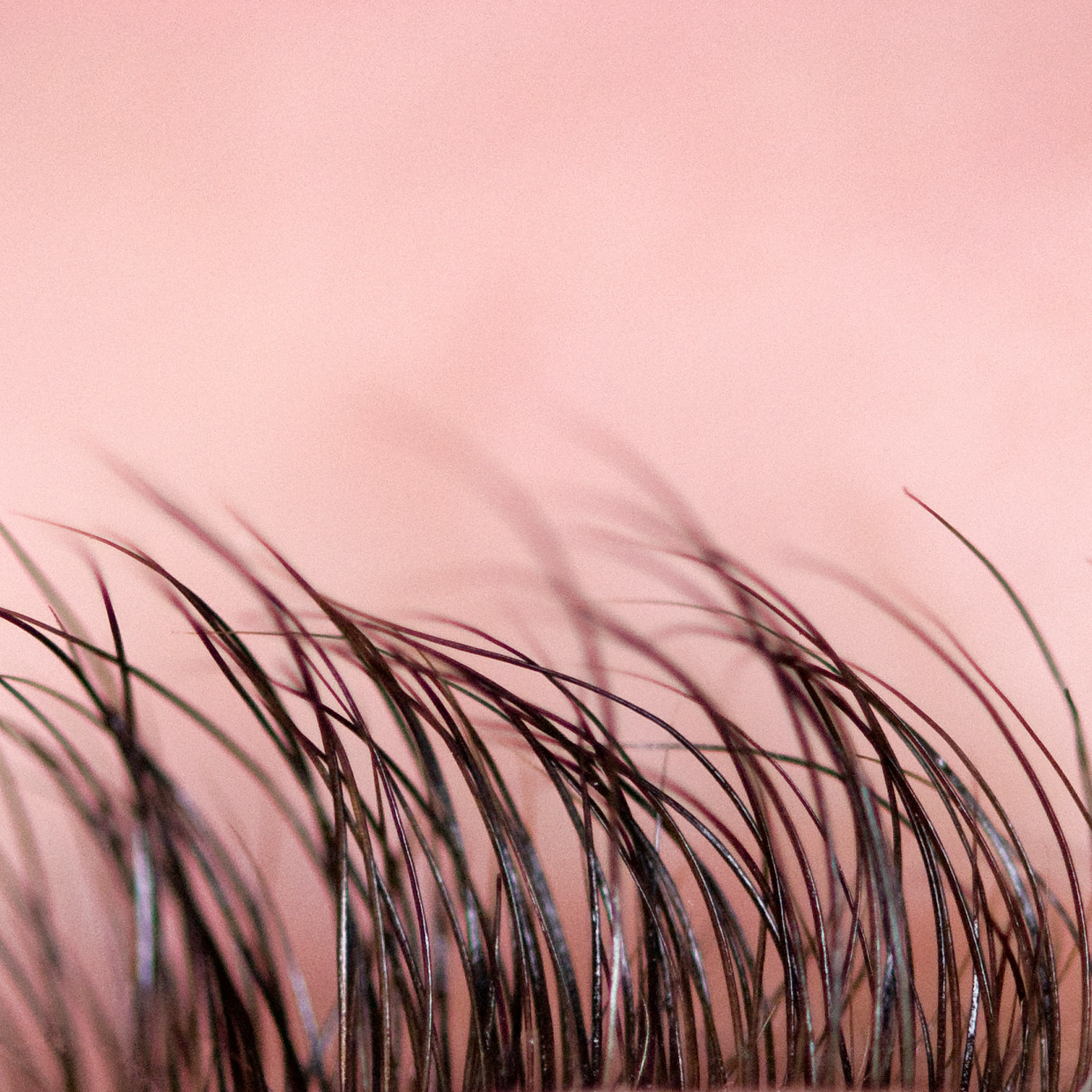 kosten van finasteride