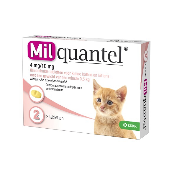 Amoxicillin 40 10 mg katze kaufen Amoxicillin 40 10 Mg Katze Kaufen