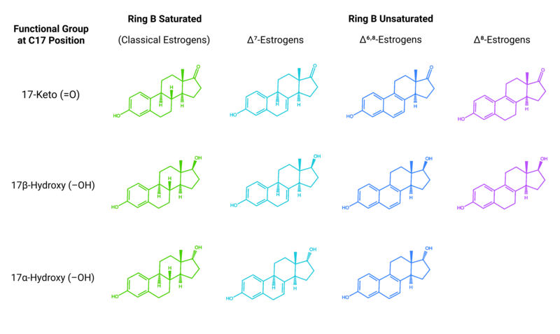 Konjugiertes Estrogen Tablette konjugiertes estrogen tablette