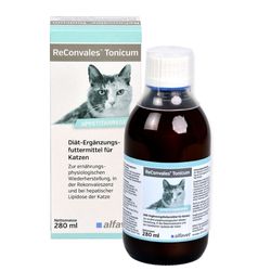Amoxicillin für katzen kaufen Amoxicillin für katzen kaufen