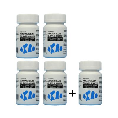 misoprostol online