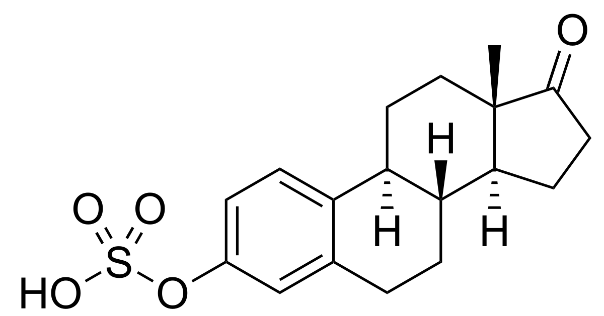 Konjugiertes estrogen deutschland