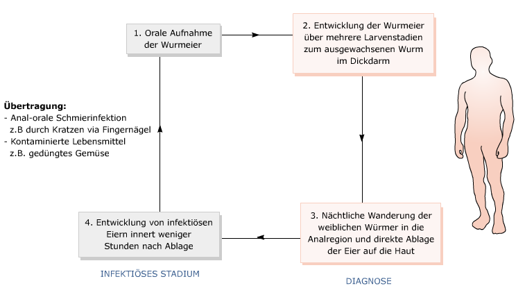 Vermox Rezeptfrei Schweiz vermox rezeptfrei schweiz