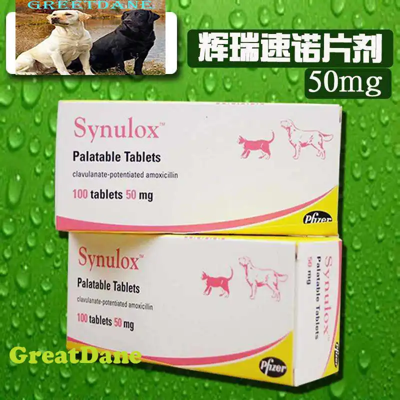 Amoxicillin 10 Tabletten Amoxicillin 10 tabletten