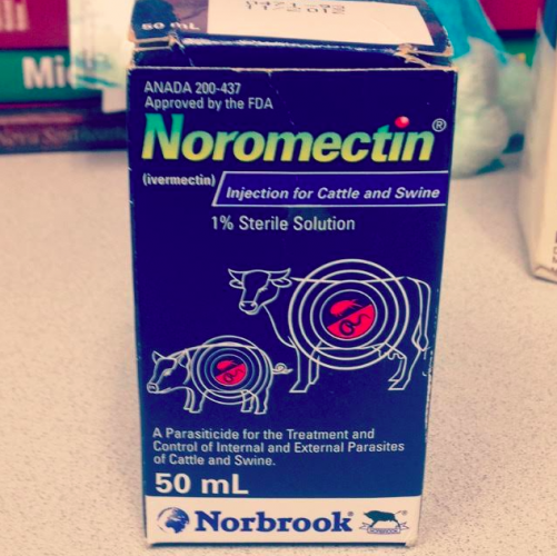 Ivermectin am billigsten