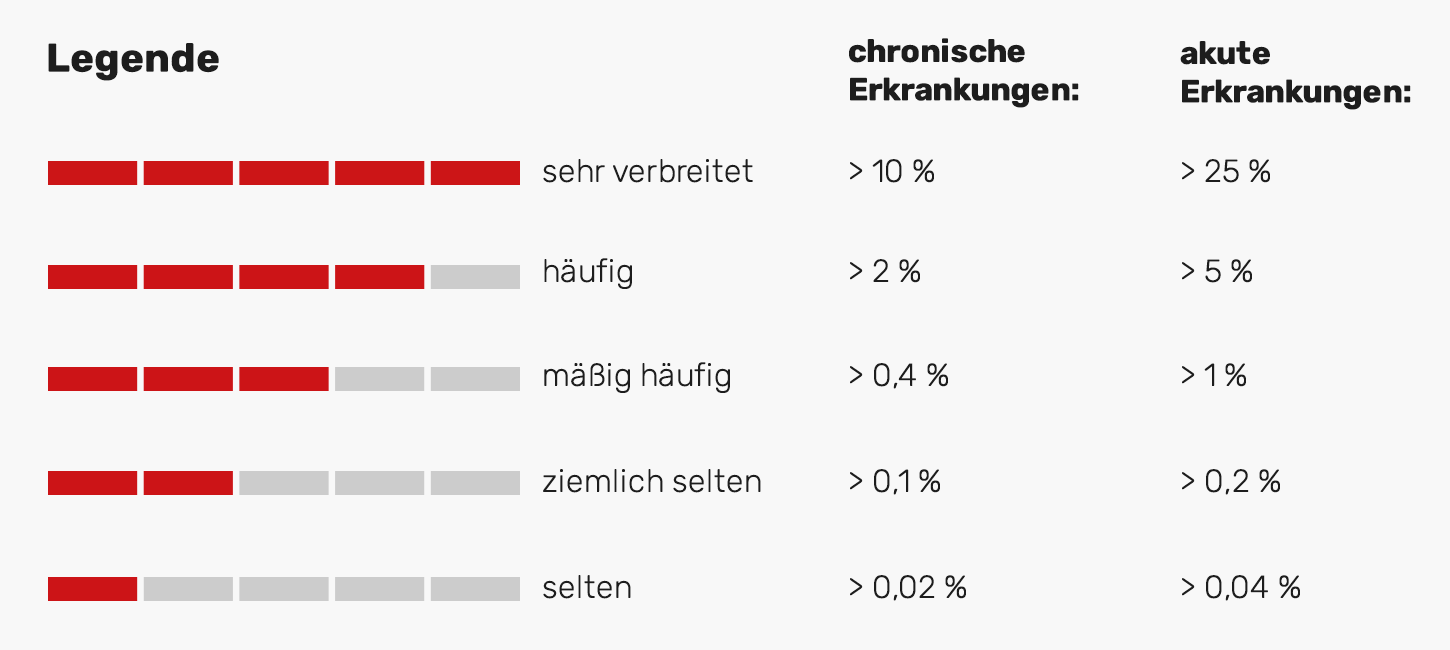 Amoxibeta deutschland amoxibeta deutschland