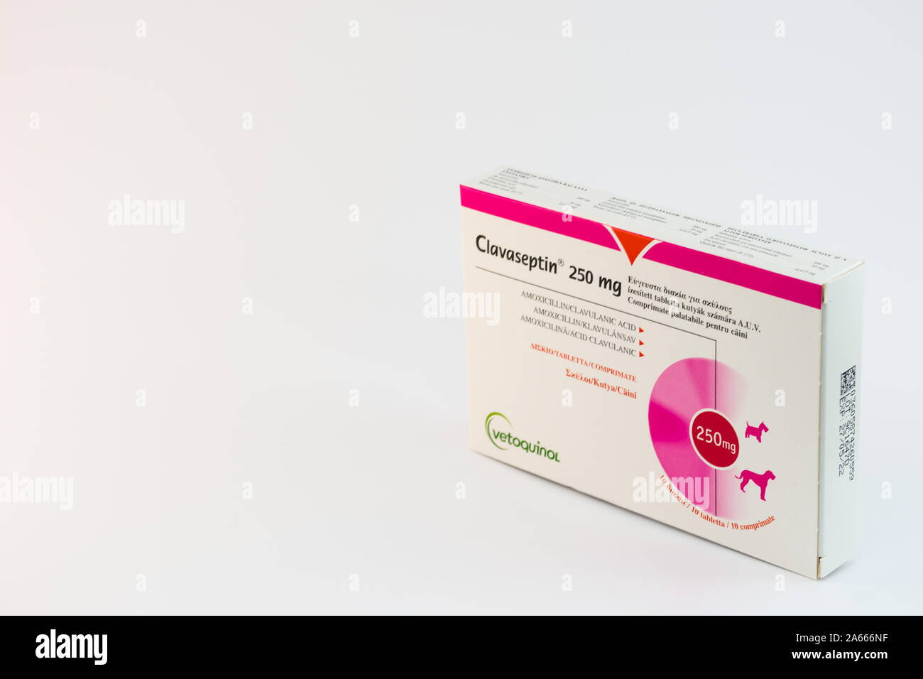Amoxicillin hund kaufen