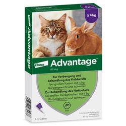 amoxicillin paste für katzen amoxicillin paste für katzen