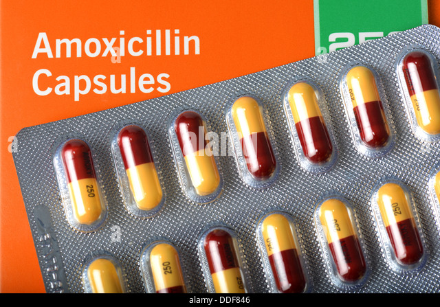 amoxil preis amoxil preis