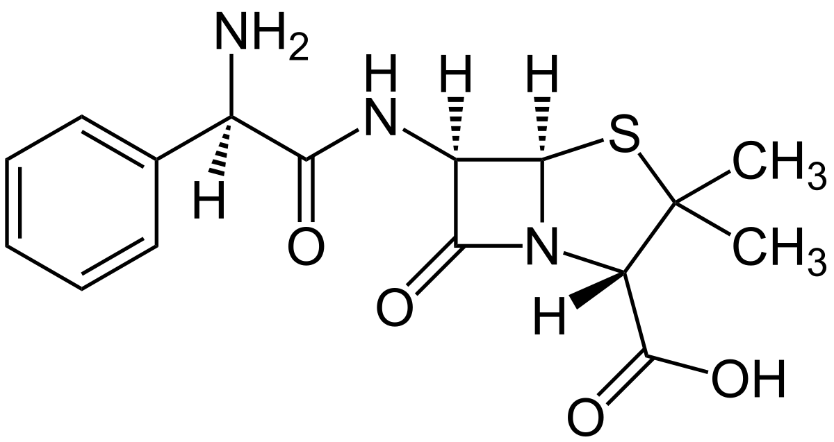 Antibiotikum amoxicillin pille antibiotikum amoxicillin pille
