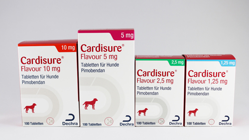 prednisolon 5 mg hund kosten