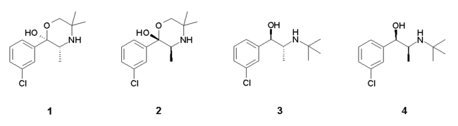 bupropion 150mg bupropion 150mg