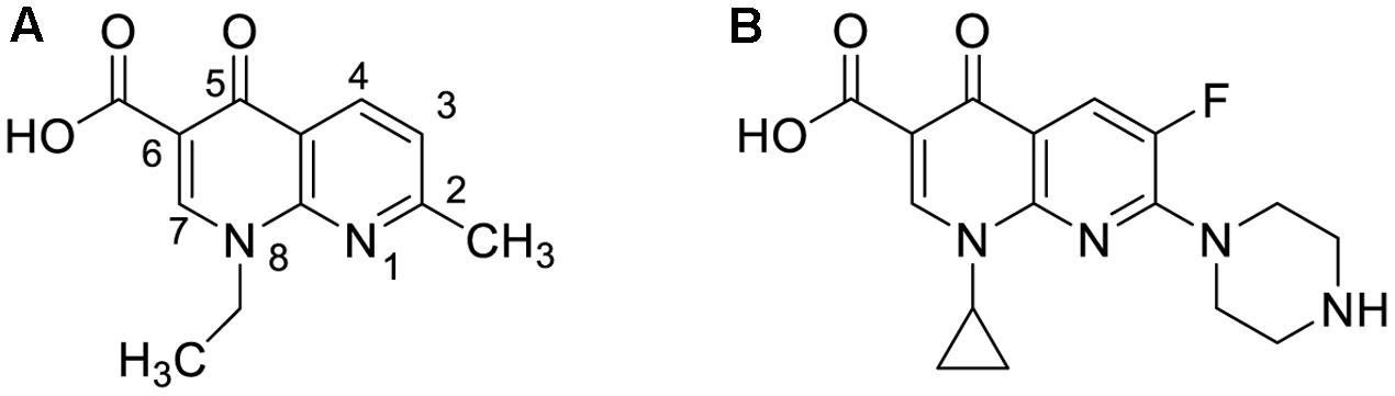 Ciprofloxacin 750 Mg Cp ciprofloxacin 750 mg cp
