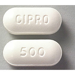 Ciprofloxacin Xl 500mg Ciprofloxacin Xl 500mg