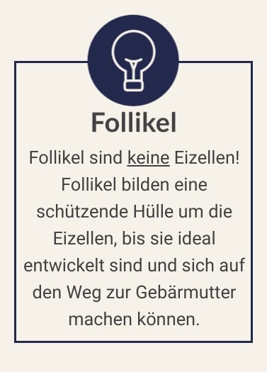 clomifen kostenübernahme Clomifen kostenübernahme