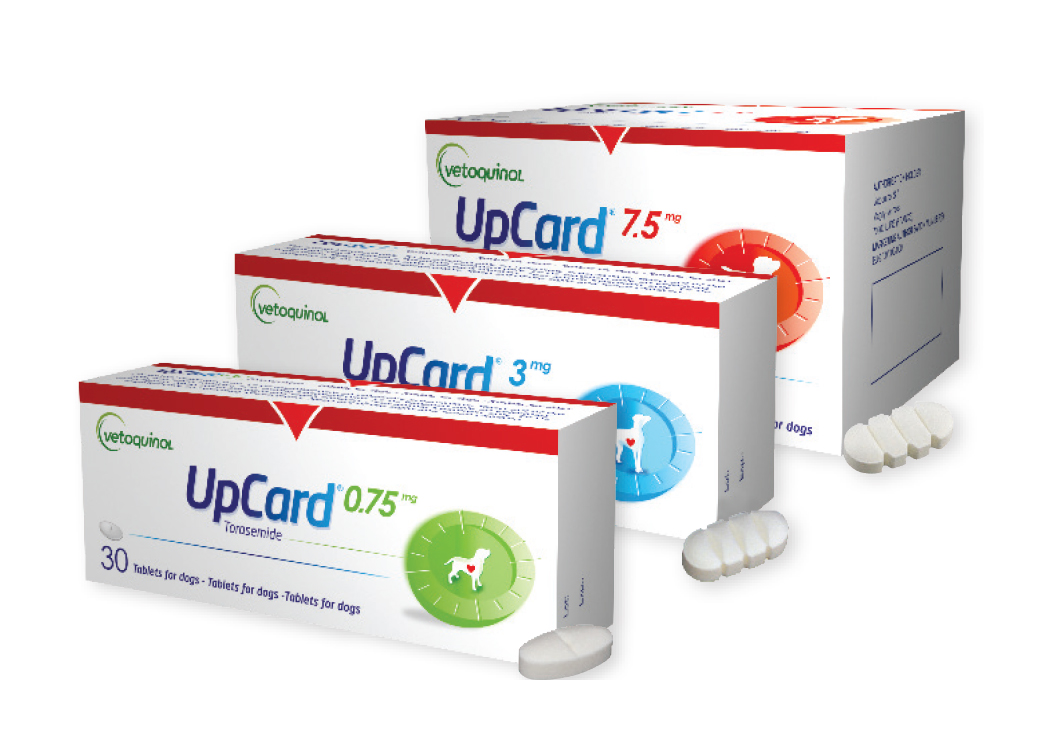 doxycyclin 100 mg für hunde Doxycyclin 100 mg für hunde
