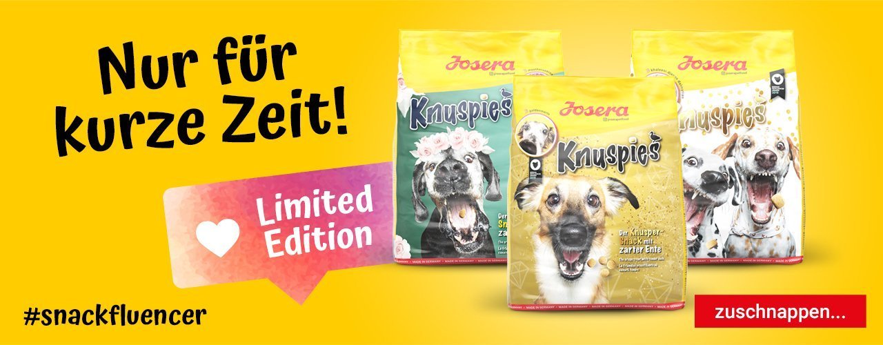 doxycyclin hund kaufen