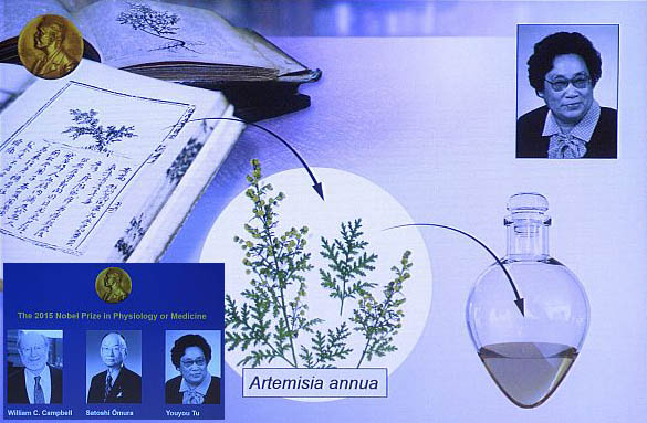 Ivermectin Nobel Prize ivermectin nobel prize
