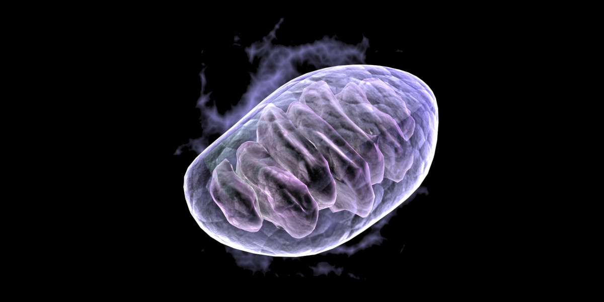 Ersatz für metformin ersatz für metformin