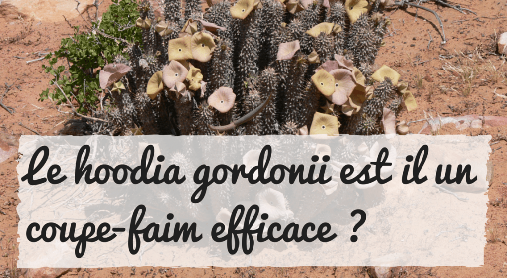 finasteride pille Finasteride pille