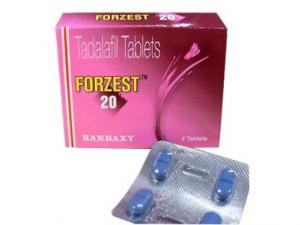 Forzest online