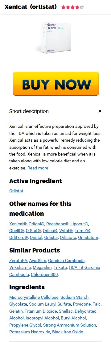 Generisches orlistat