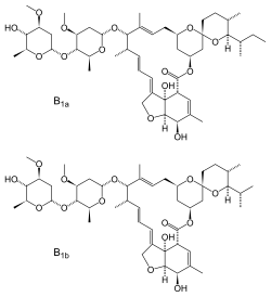 Ivermectin tabletten für hunde