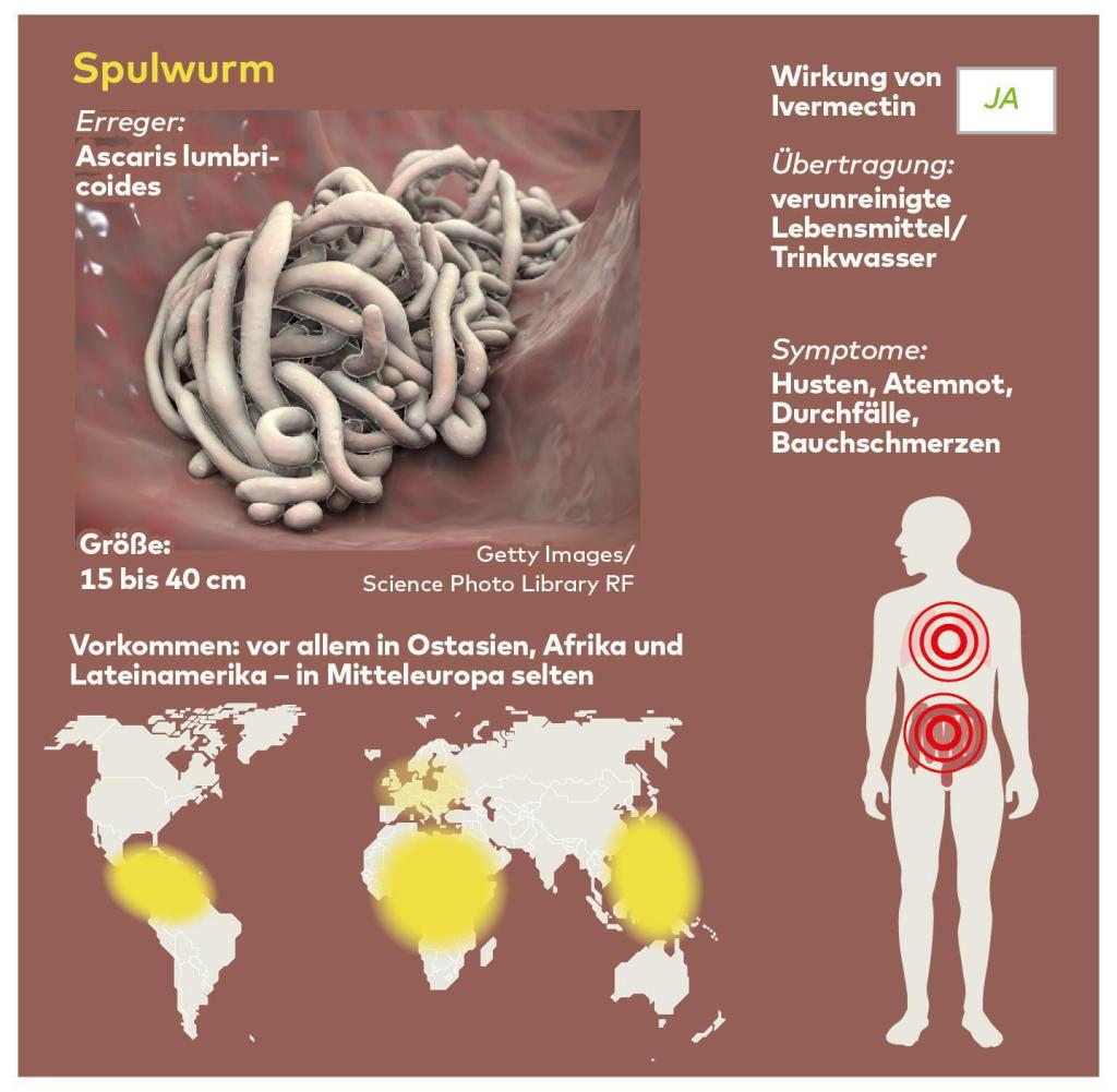 Ivermectin tabletten für menschen