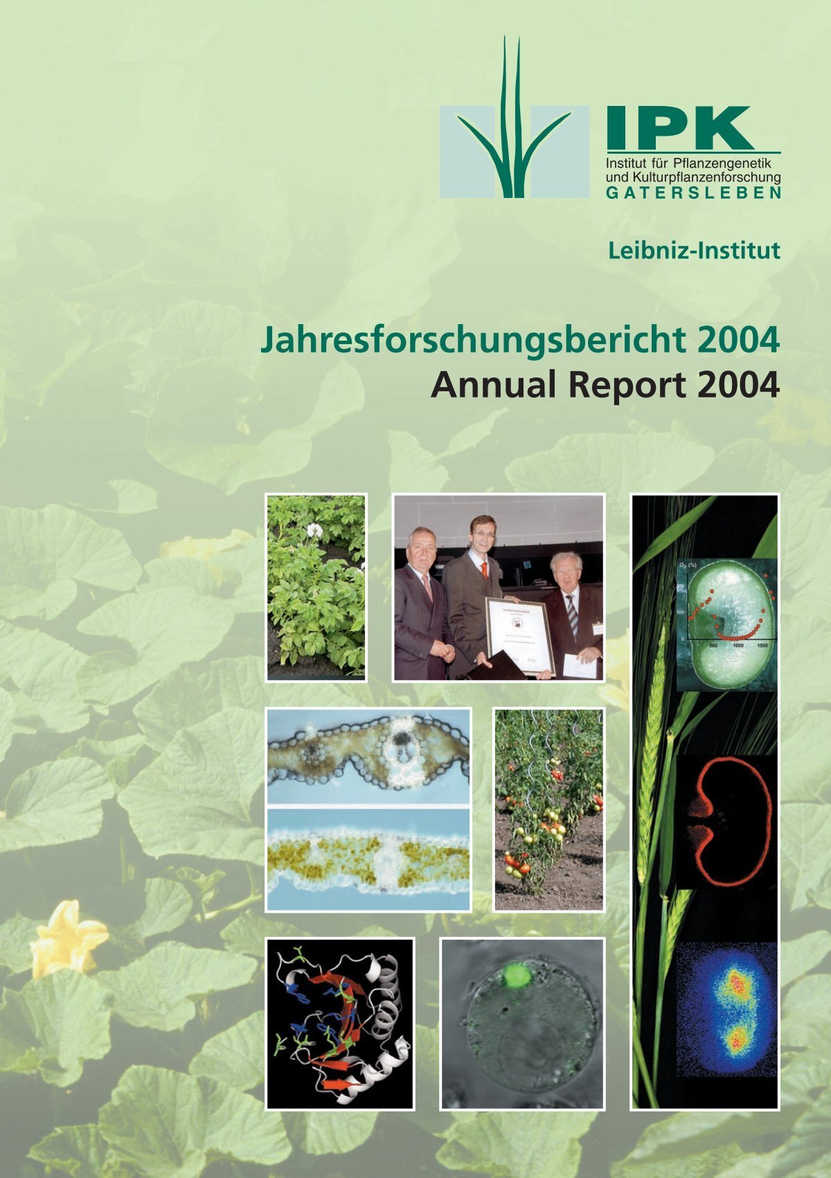 Konjugiertes Estrogen Am Billigsten Konjugiertes Estrogen Am Billigsten