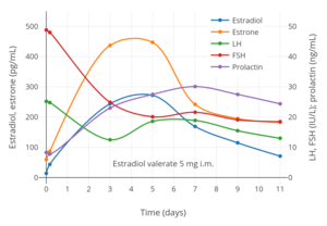 Konjugiertes estrogen generika