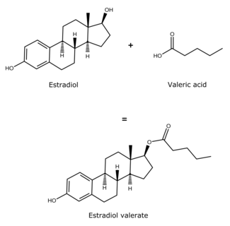 Konjugiertes Estrogen Generikum