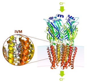 mectizan ivermectin 3mg Mectizan Ivermectin 3mg