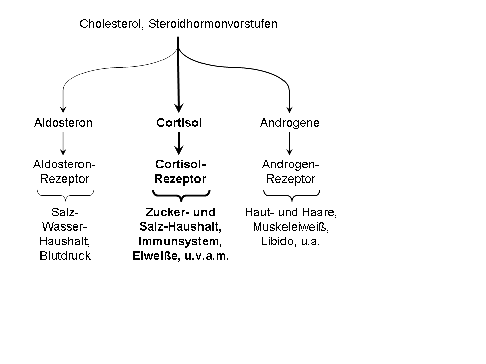metformin oder pille