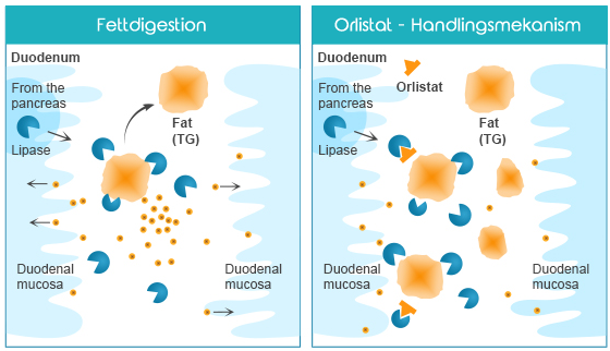 Orlistat Pille
