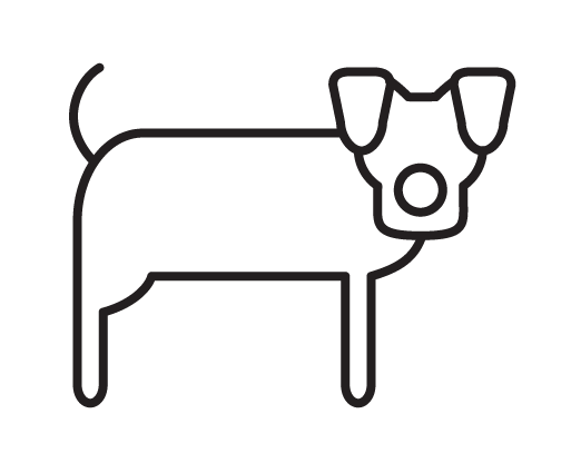 Prednisolon 5 mg tabletten für hunde Prednisolon 5 Mg Tabletten Für Hunde