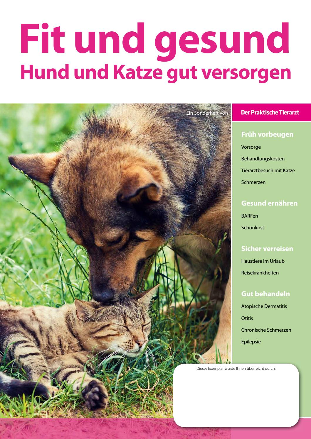 Prednisolon 5mg Für Katzen Bestellen Prednisolon 5mg Für Katzen Bestellen